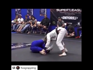 Mackenzie dern bjjmania girls