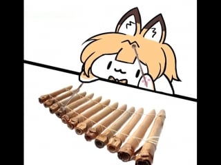 Bongo cat, kemono friends