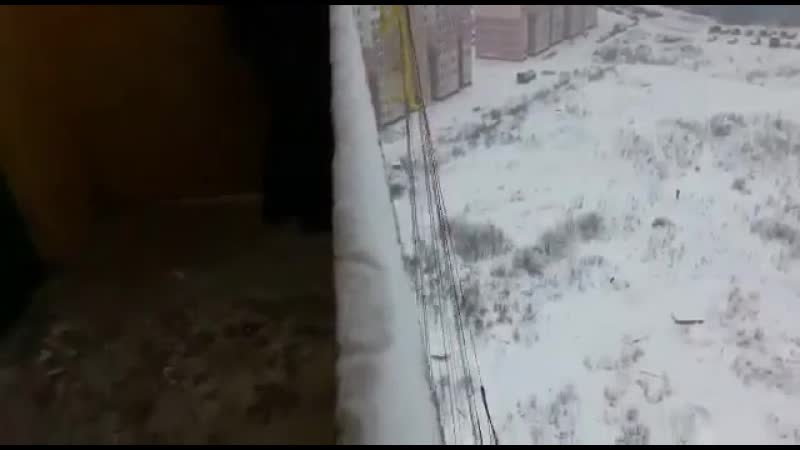 Слабоумие и отвага ckf,jevbt b jndfuf