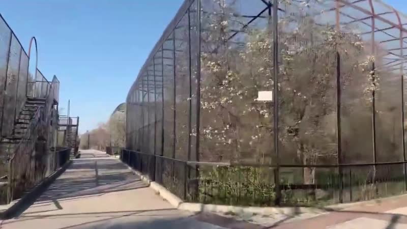 Манипуляция людьми