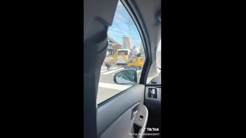 Японский дед выгуливает песика