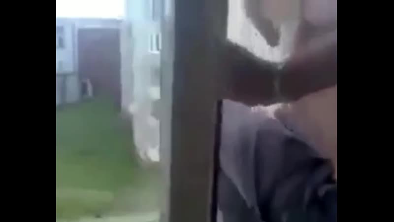 Несквик с пивом