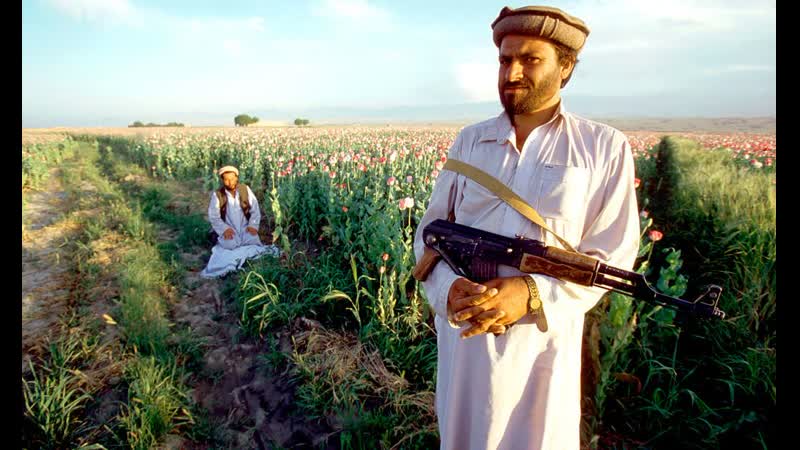 В малышев героин стал молодые «талибана»* (орг секс в рф) и афганистана