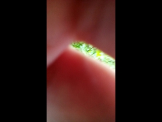 Vid 20150624 131013