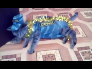 Прислала брутян карина