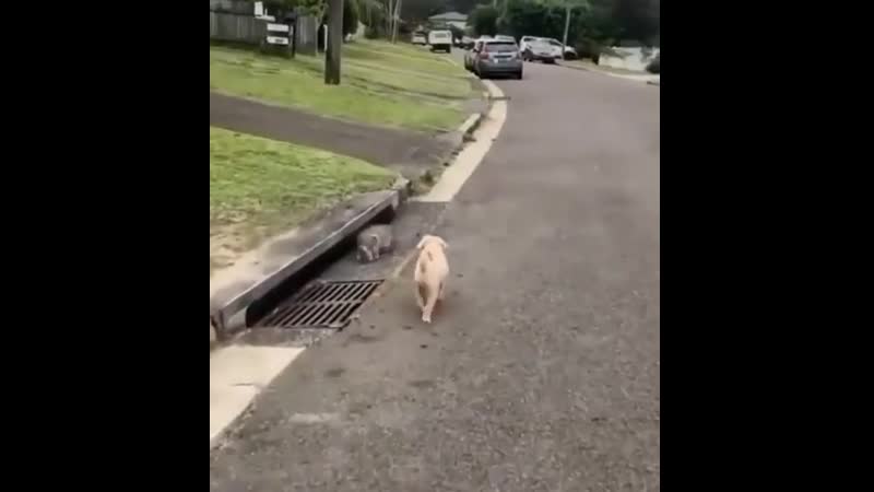 Эффектно ушёл