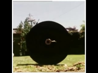 Training with franco columbo for rocky 2