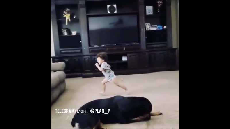 Жестокие кадры расстрела