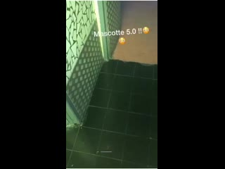Лесби в туалете ебут друг друга порно секс