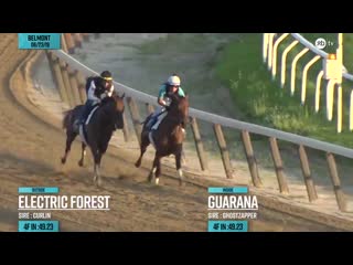 Impressive acorn stakes winner guarana inside g3 winner electric forest outside worked 4f in 49 23 at belmont park on june 23rd