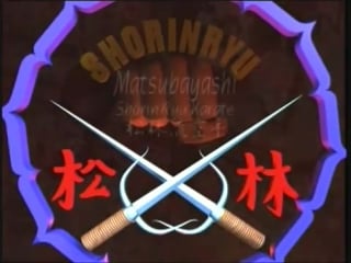 Okinawan karate matsubayashi shorin ryu part 1