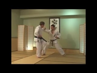 Kata heian yondan bunkai, kanazawa (skif)