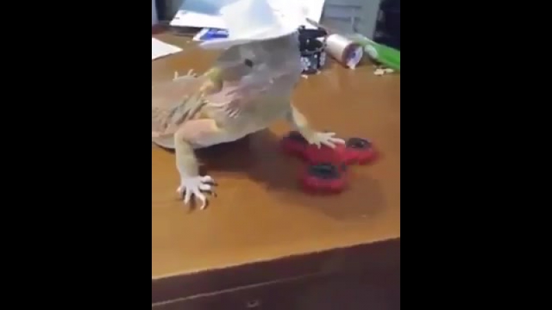 Ранго аутист (vhs video)