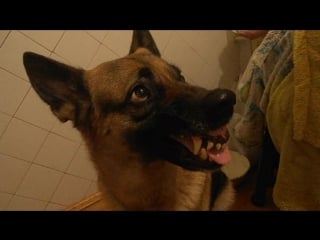 Перемена настроения