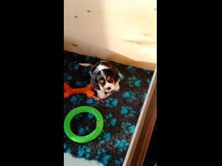 Video 20191121 132237 mp4