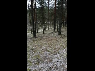 Vid 20201213 131049 mp4