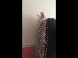 [instastory | b porn] 180911