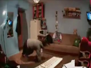 Лоханулась малость