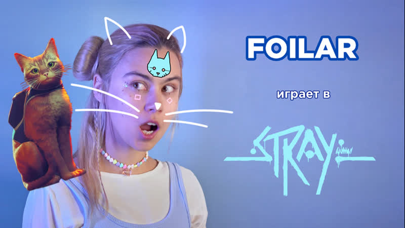 Foilar стримит stray