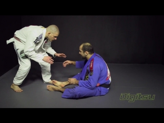 Bernardo faria z guard vs knee cut pass