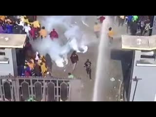 College students in their natural habitat