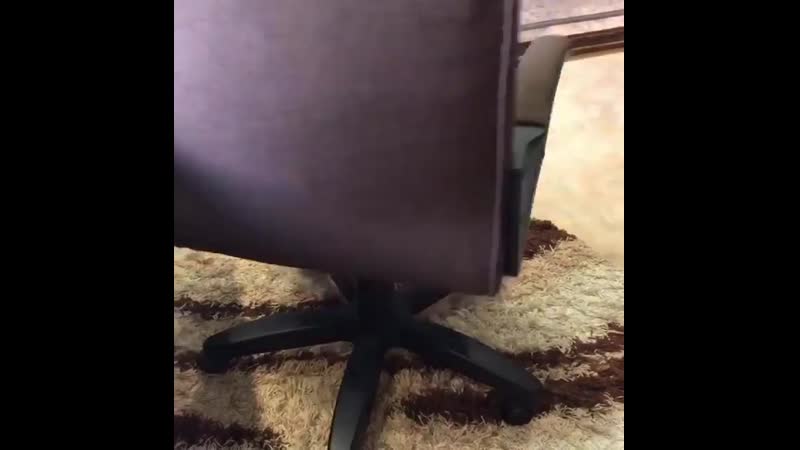 📌кошка мстит и «мстя» ее страшна?