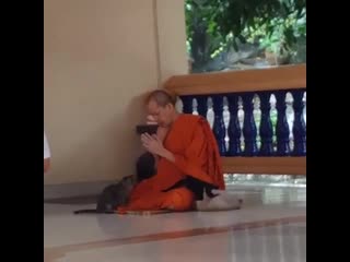 Ripsave thai buddhist monk i will keep praying mp4