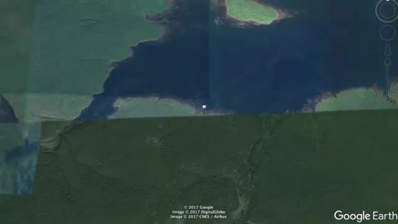 Вырубка леса в сибири