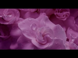 Gucci flora gorgeous gardenia