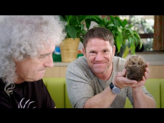 Meet the hedgehogs with steve backshall channel 5, 2017 (s1e1)