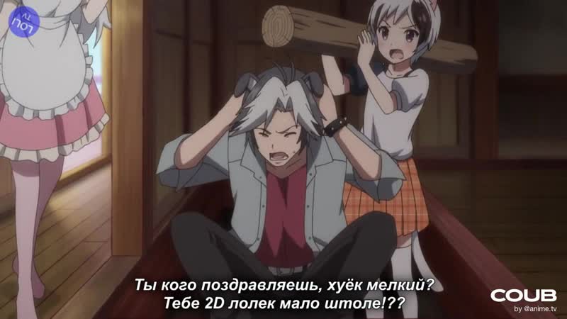 Uchi tama?! uchi no tama shirimasen ka?