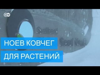 Всемирное хранилище семян в норвегии находится в опасности из за глобального потепления