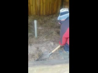 Vid 20200601 120957 mp4