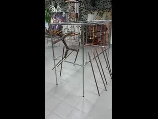 Побег из бастилии