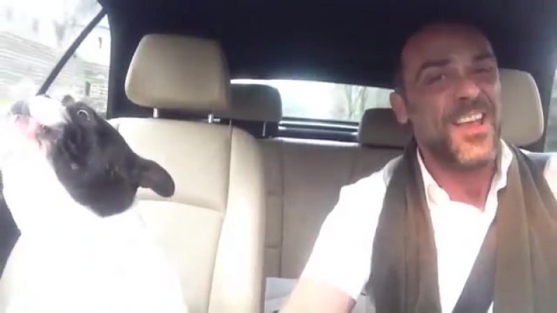 Молодые душевно подпевает (6 sec)