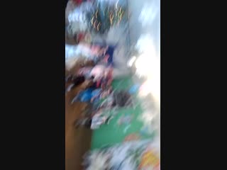 Vid 20181226 111522 mp4