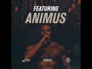 Animus instagram video