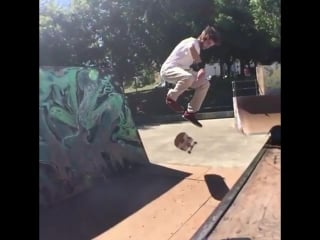 New one ✌🏻✌🏻 fs shove it late double flip pulled off by the one and only bruno aleixo "@aleixosk8"