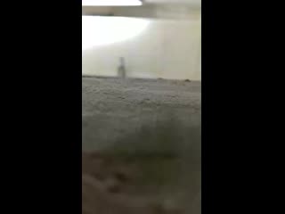 Русские мужики в туалете
