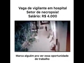 Hahahahaha teriam coragem