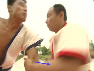 Shuai jiao chinese wrestling by wang wenyong (part 2 4)