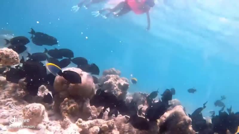 Meenakshi jha bhattacharya &amp; sriti jha