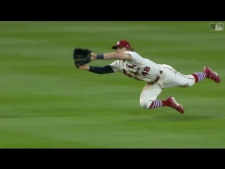 Bader and the cardinals are going all out they have leapfrogged milwaukee for the second nl wild card spot