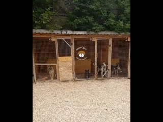 Блэйк, белла, юта