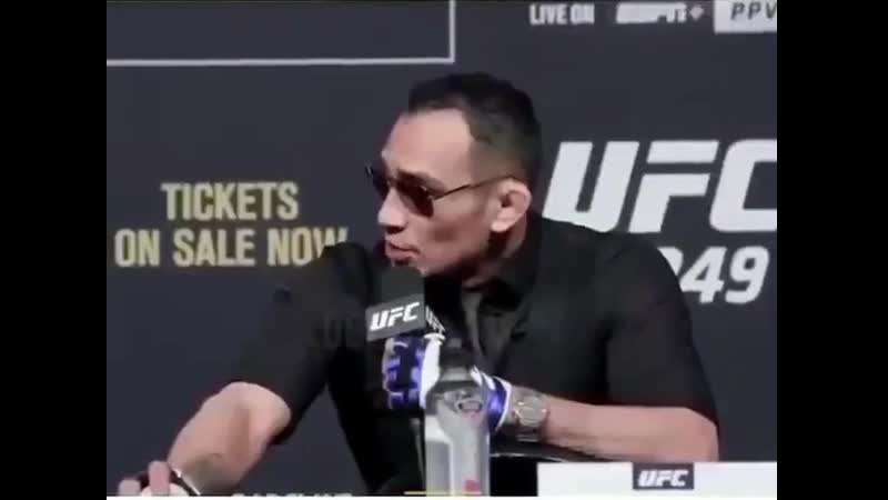 Стычка забиба