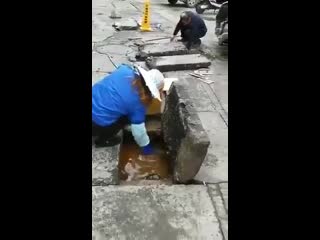 Oil collected from pits in china is refined and turned into edible oil and finds buyers at low prices