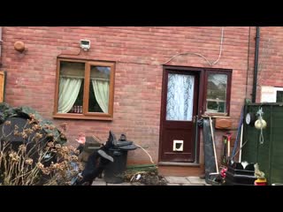 Backflip pancake flip kind of got lost looking for the pancake i challenge someone to do this!! show me your attempts tag me and