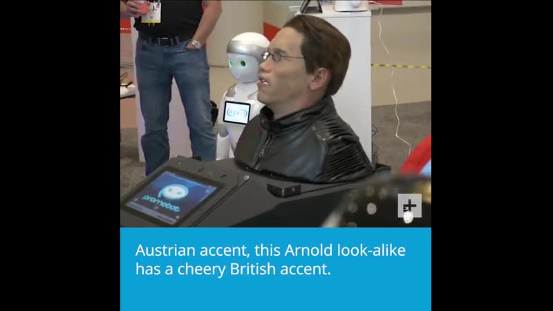 Замуровали шварценеггера