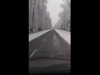 Видео от жасұлана қалаубаева