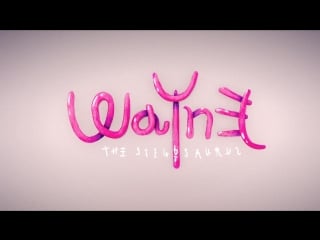 Wayne the stegosaurus